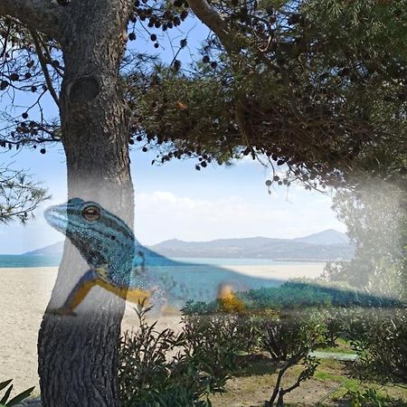 O Gecko Marin T2 Classe Entre Mer Et Village A Pied Аржель-сюр-Мер Экстерьер фото